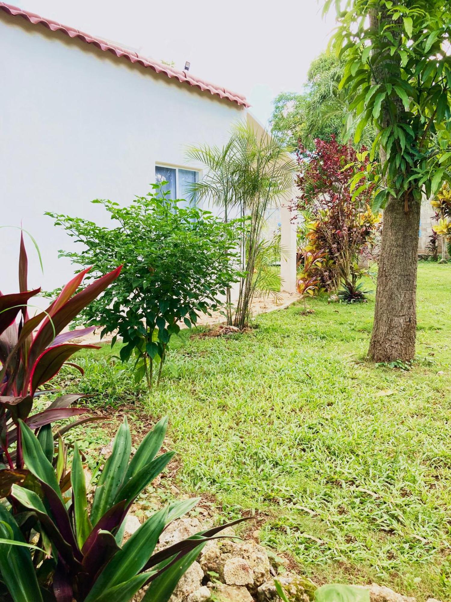 Green Paradise Leona Vicario Exterior foto