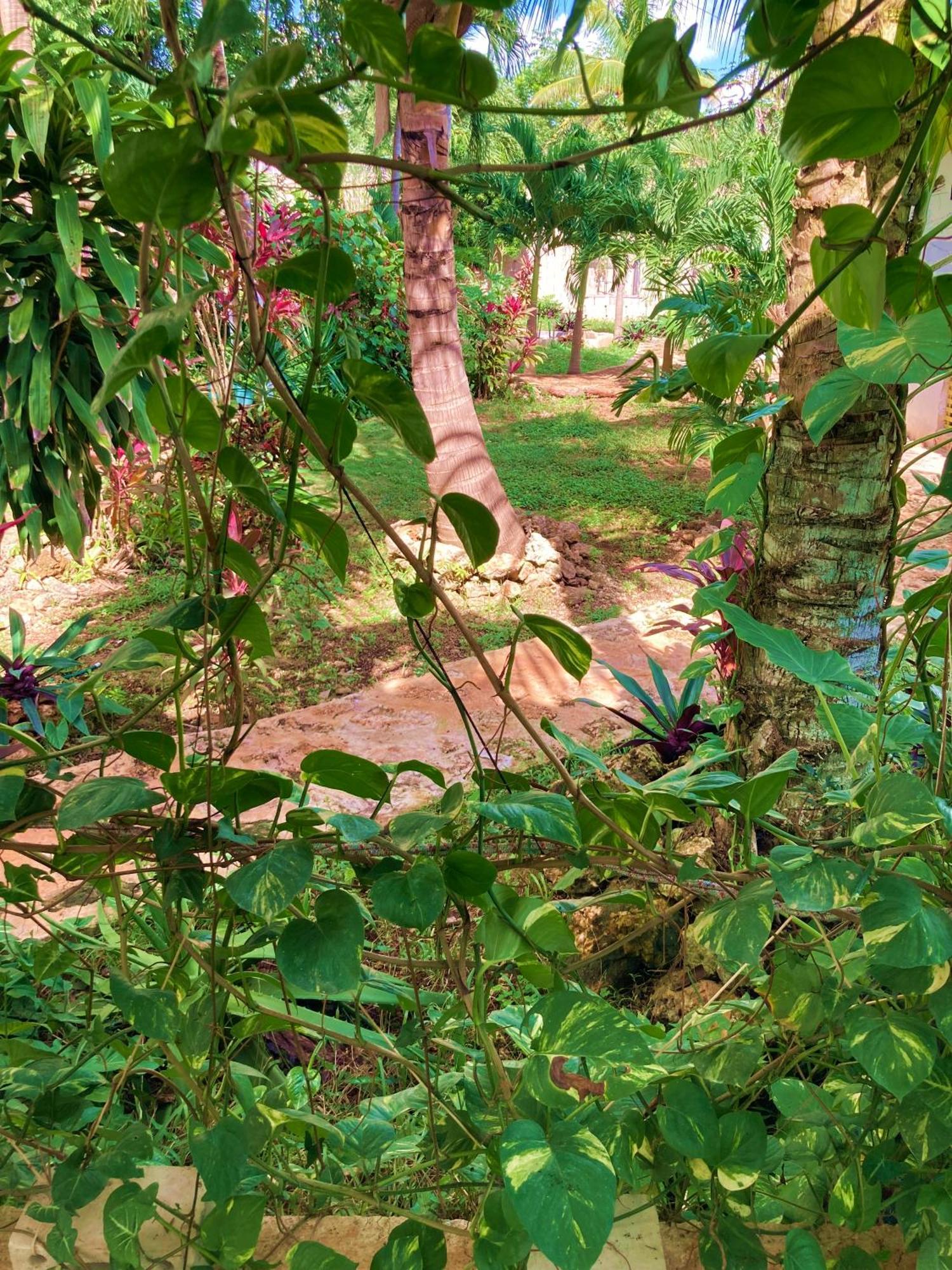 Green Paradise Leona Vicario Exterior foto
